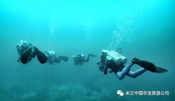 逗小猴开心系列195